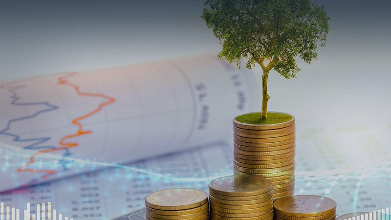 成都管理咨询公司加盟条件要求